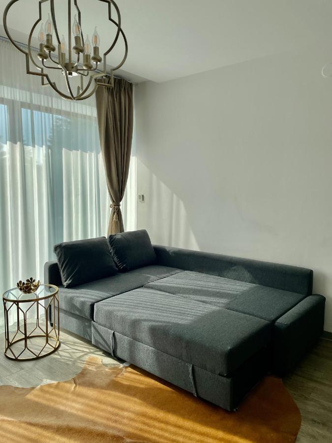 Luxury Silver Mountain Apartment Poiana Brașov Zewnętrze zdjęcie